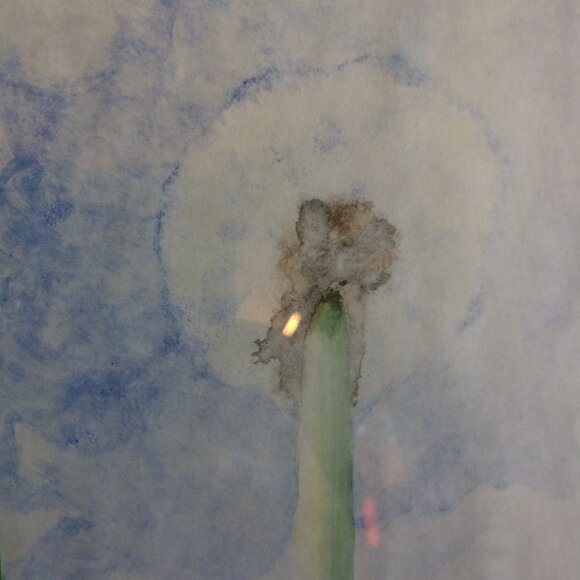 Dandelion original framed watercolor painting - Picture 4 of 4